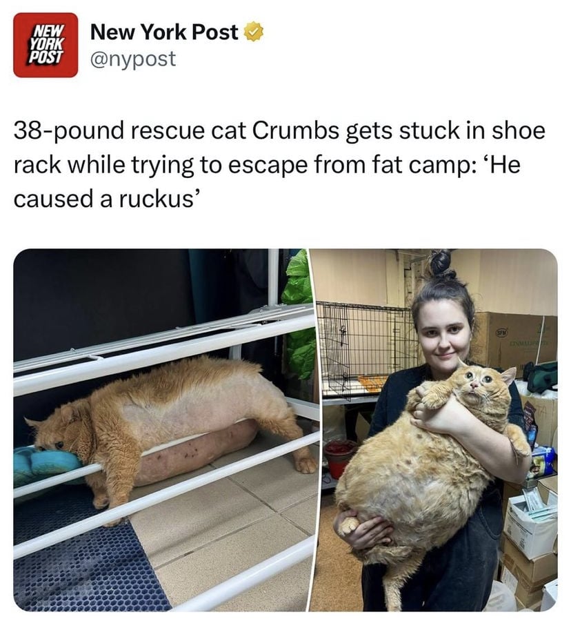 Crumbs belongs with me