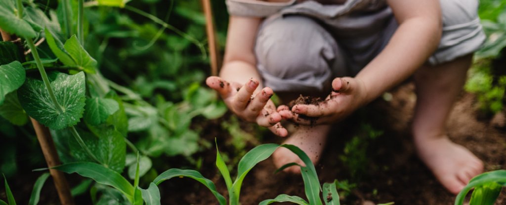 Daycares in Finland Grew Forests, And It Changed Kids' Immune Systems