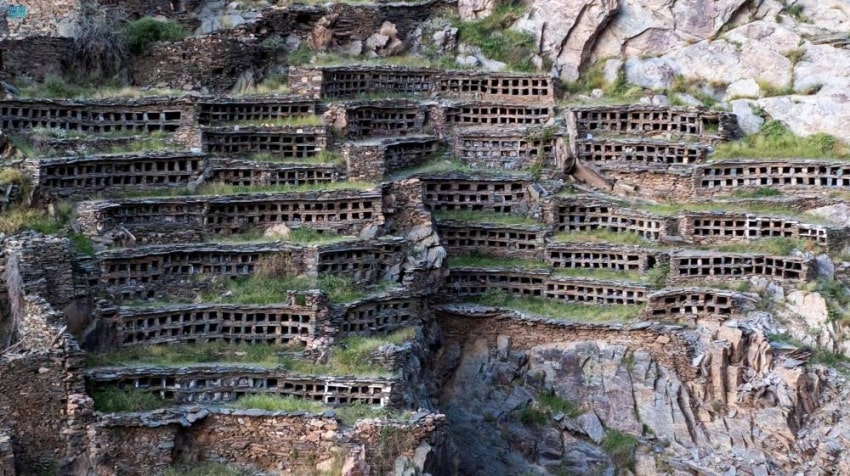 Beehives of Saudi Arabia’s Thought to be Over 1,000 Years Old