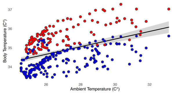 Sloth metabolism may make survival untenable under climate change scenarios