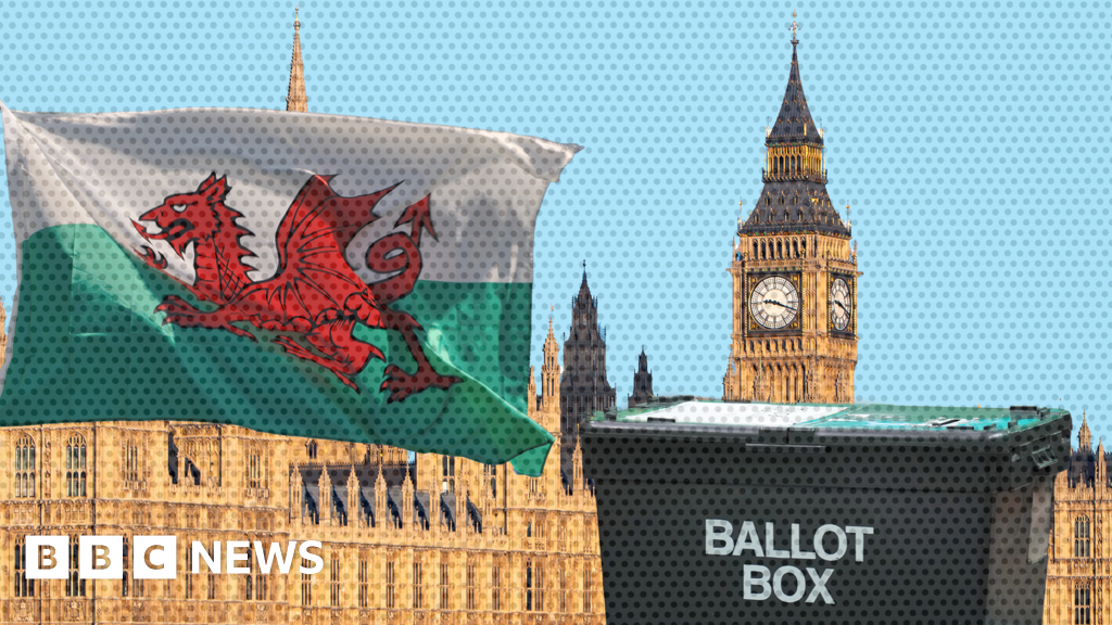 General election 2024: What does the UK government do in Wales?