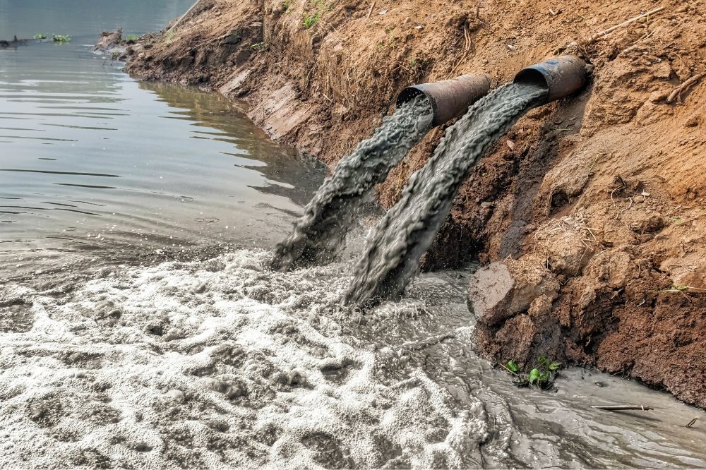 All 11 water firms in Wales and England face probe over sewage spills