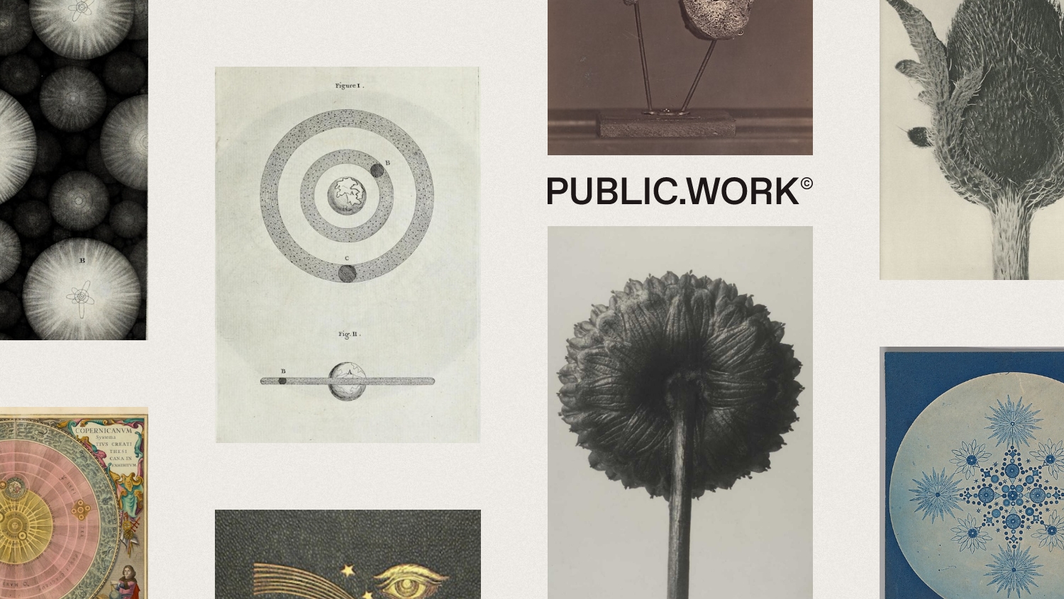 Public Work by Cosmos