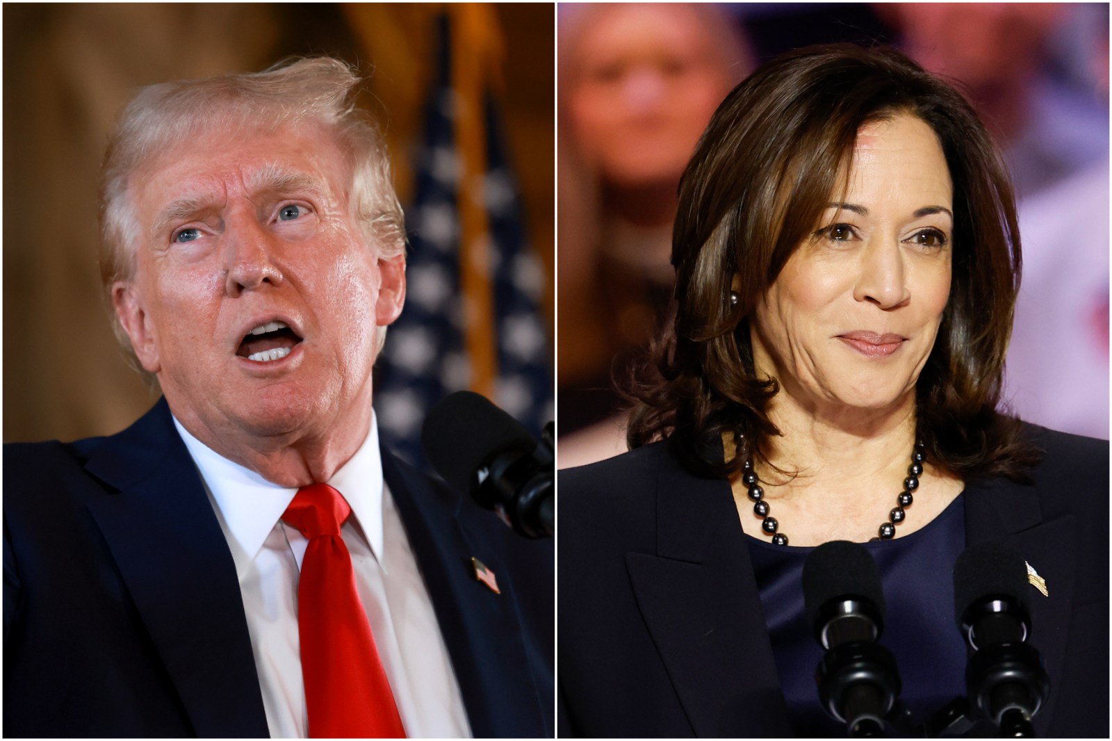 Trump Warns That if Kamala Harris Wins, 'Everybody Gets Health Care'