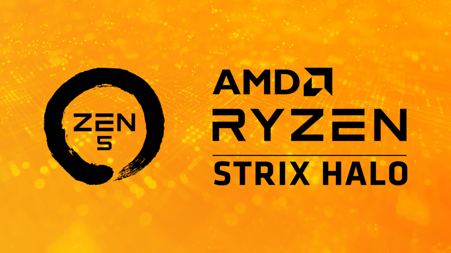 AMD's New Strix Halo "Zen 5" Mobile Chips to Feature 40 iGPU CUs