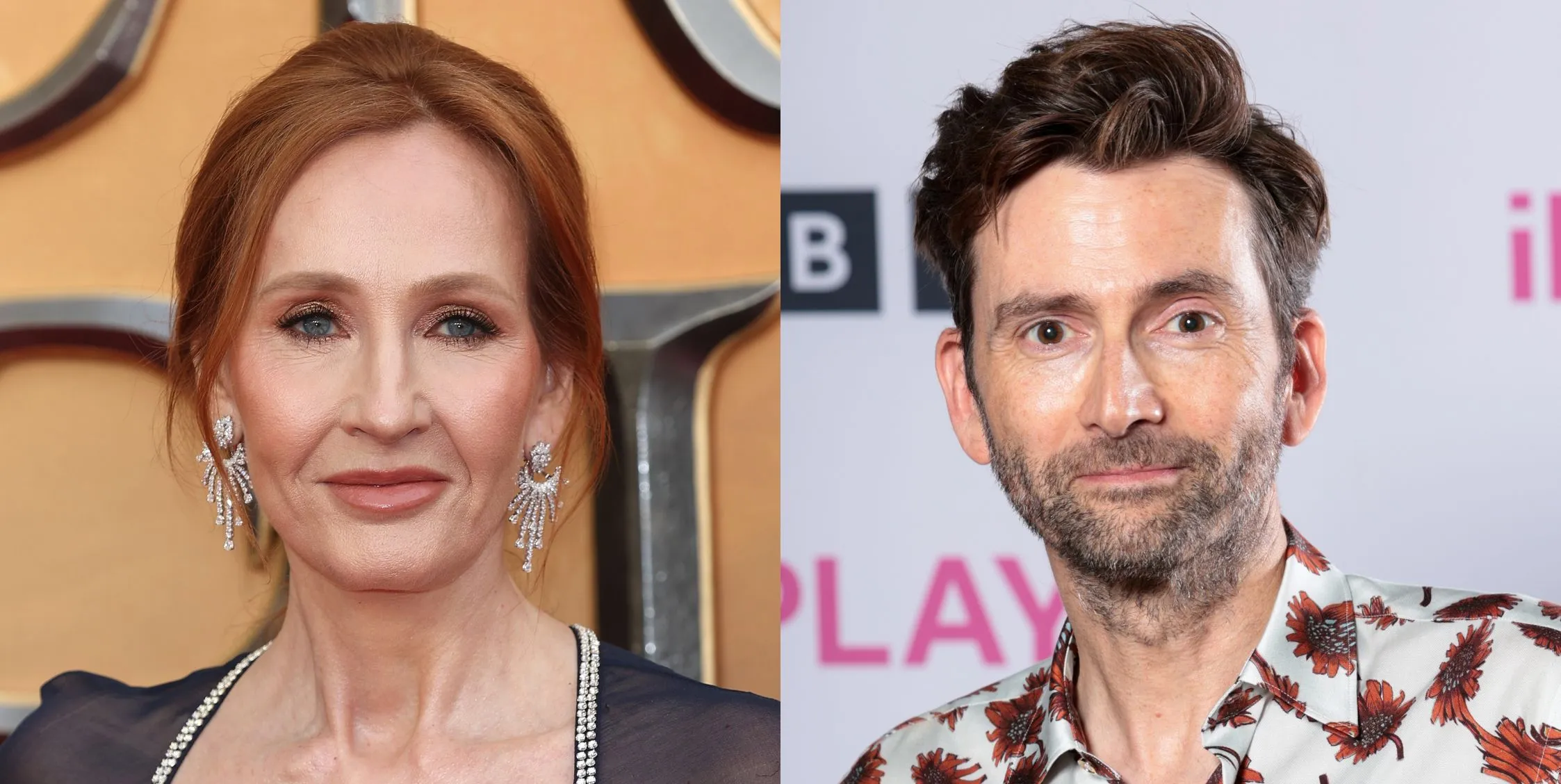 David Tennant once reportedly blocked J.K. Rowling from Doctor Who cameo