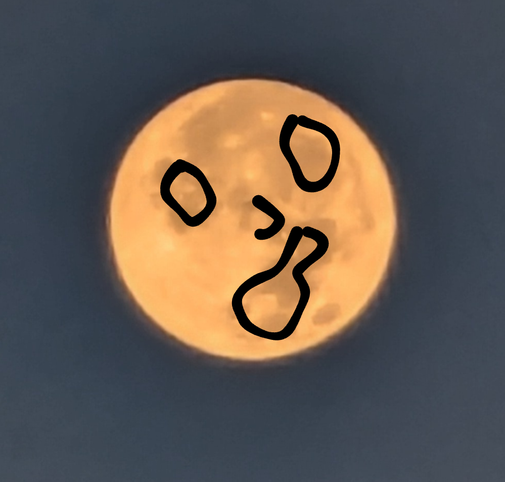 maninmoontwo