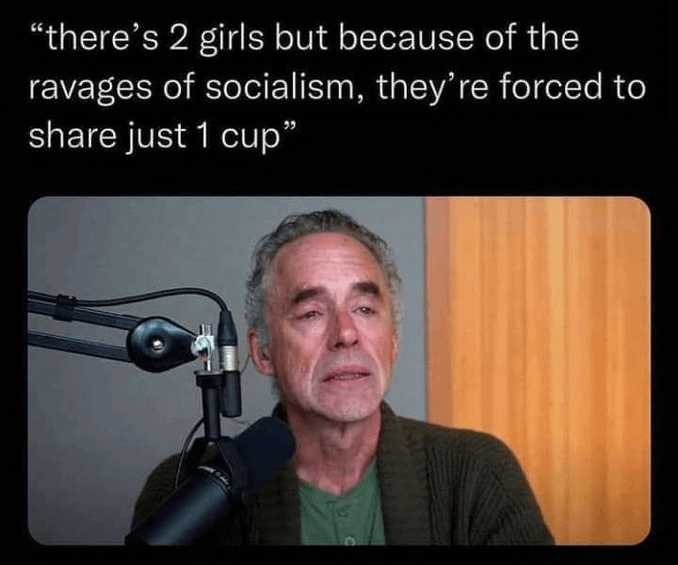 A picture of Jordan Peterson speaking into a microphone, captioned, "there's 2 girls, but because of the ravages of socialism, they're forced to share just 1 cup"