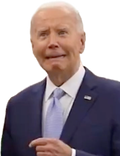 biden-pain