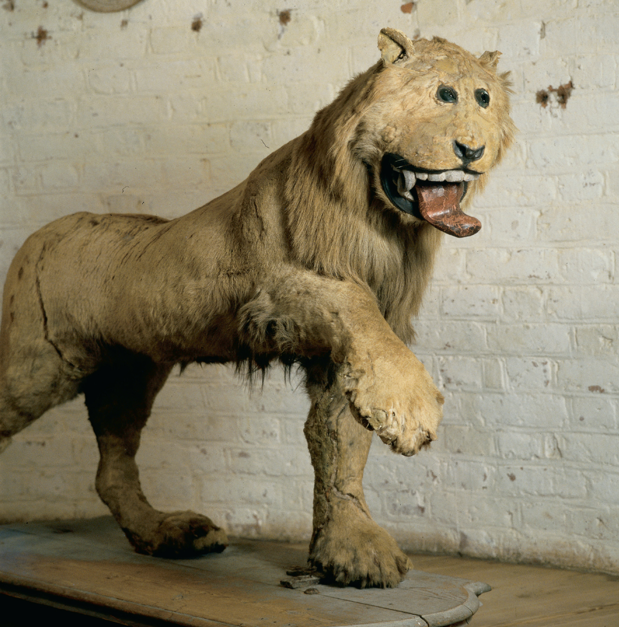 The Lion of Gripsholm Castle