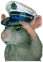 rat salute