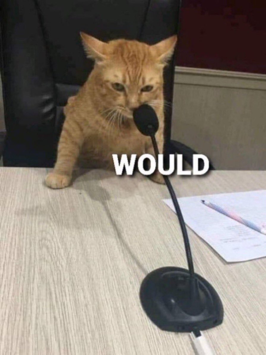cat speaking into microphone, caption "would"