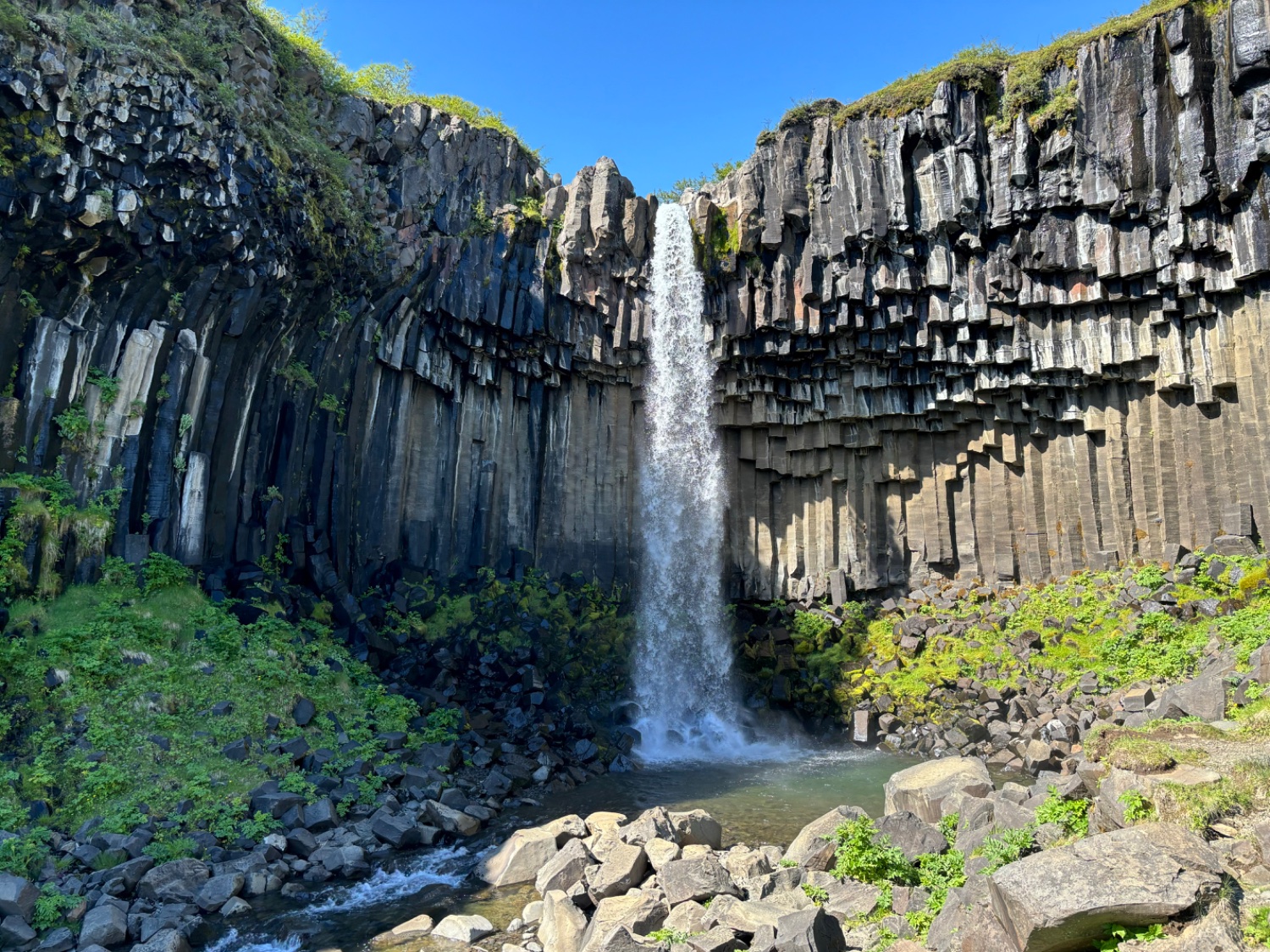 Svartifoss waterfall, Iceland, 2024.