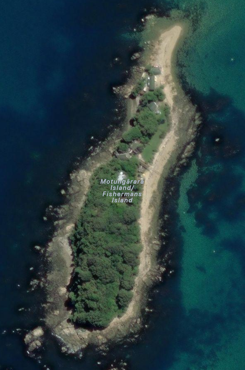 Sattelite image of Motungārara Island / Fishermans Island