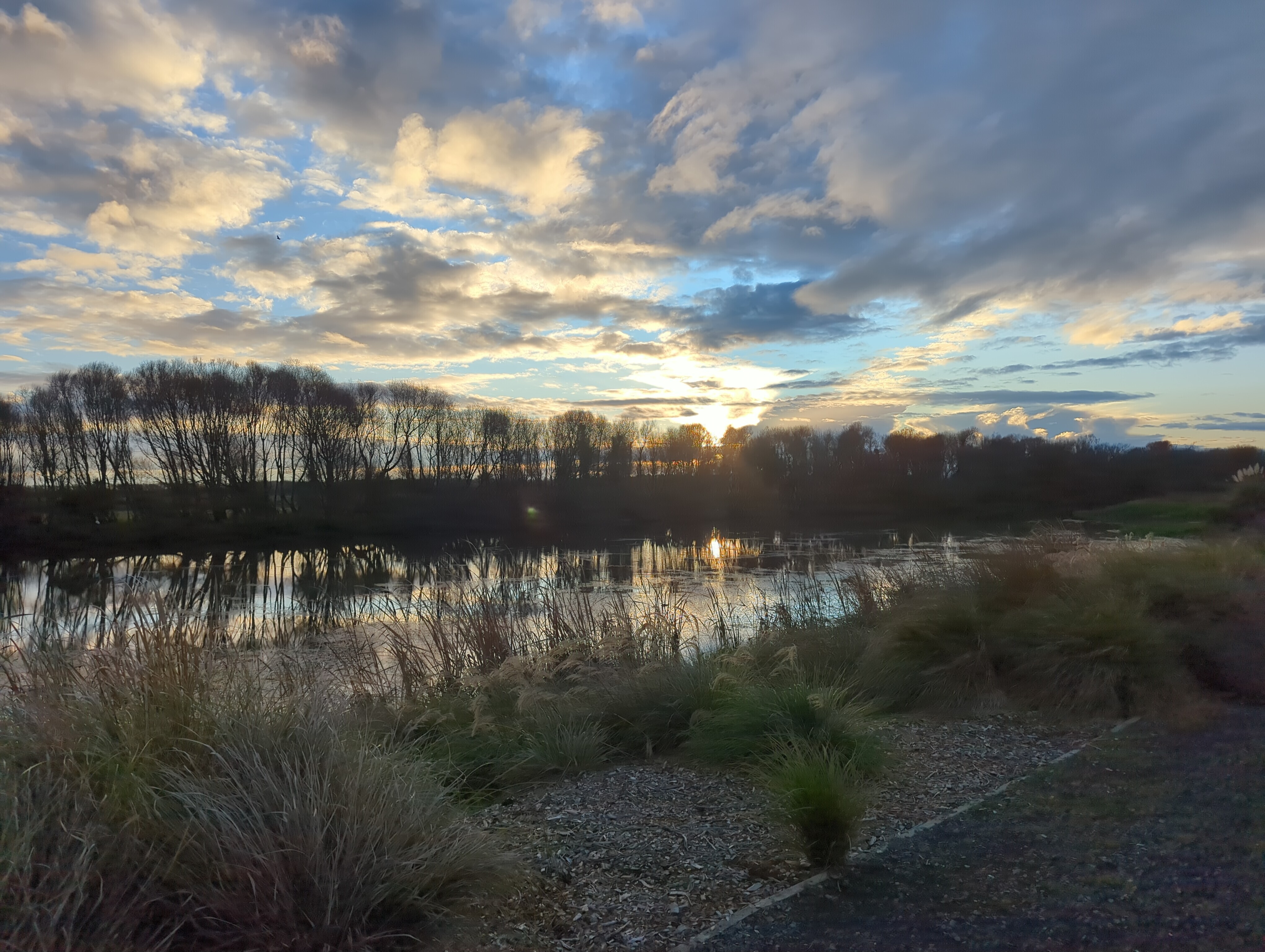 photo of sunset over river with trees on far shore of river, sun setting behind trees - sun low but a yellow not red sky