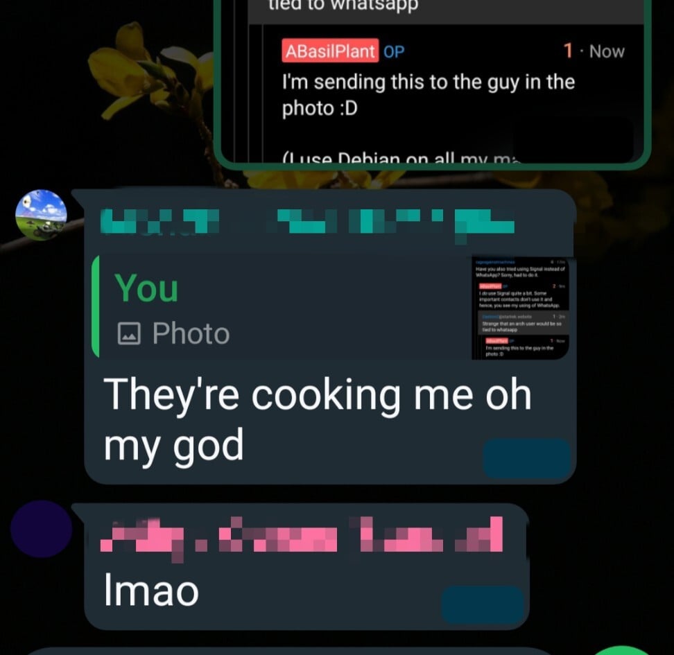 An exchange on WhatsApp. The first message is screenshot of the comments above. A reply to the initial message is "they're cooking me oh my god". A different person comments "lmao"