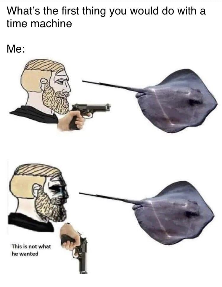 Viking meme asking what would you do with a Time Machine. The Viking has a gun and is pointing it at the sting ray that will go on to kill Steve Irwin. He then lowers the gun and says, “This is not what he wanted.”