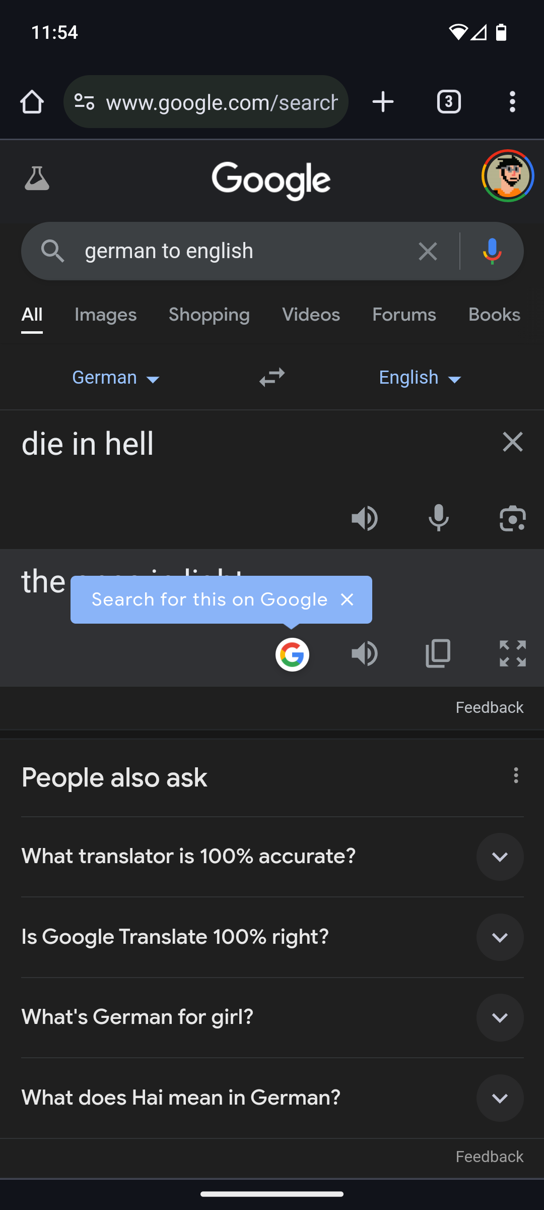 Google translate: "die in hell" german to english