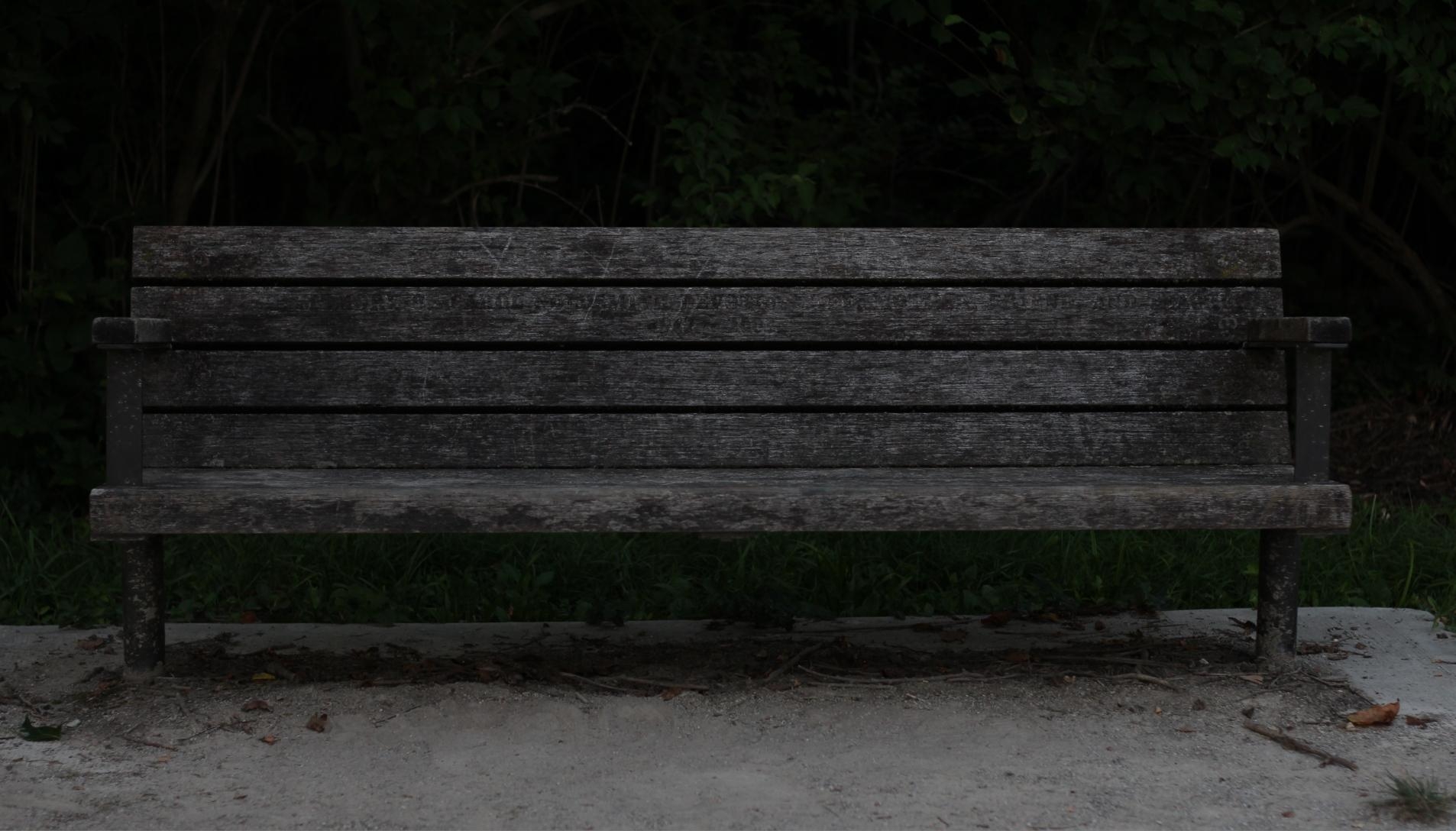 Dark photo of a long gray bench. Dark green plants in the background