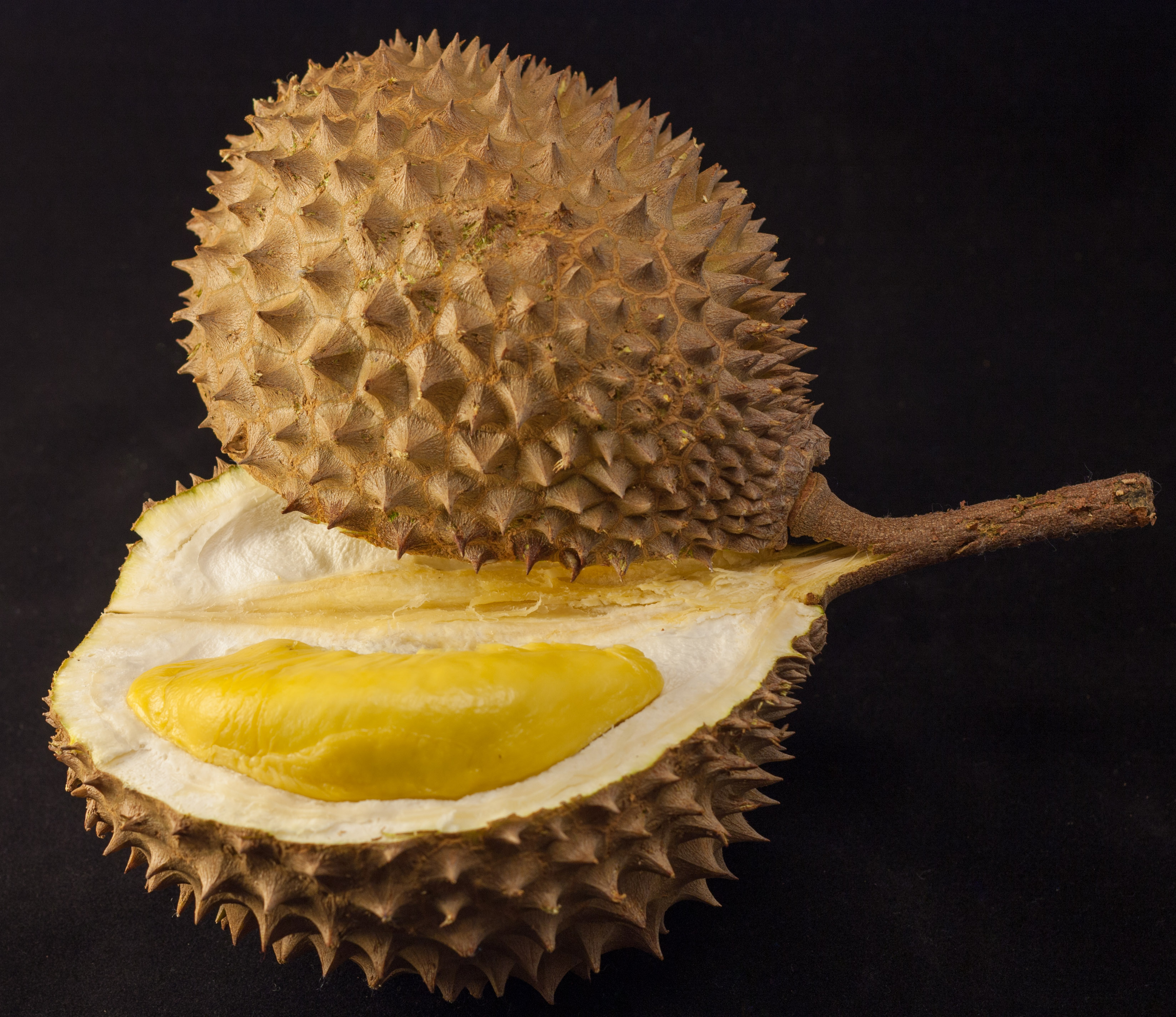 durian