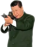 xi-gun