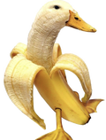 banana-duck-peeled