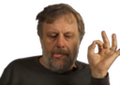 zizek-ok