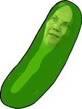 pickle-liz