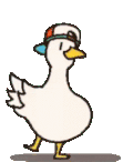 duck-dance