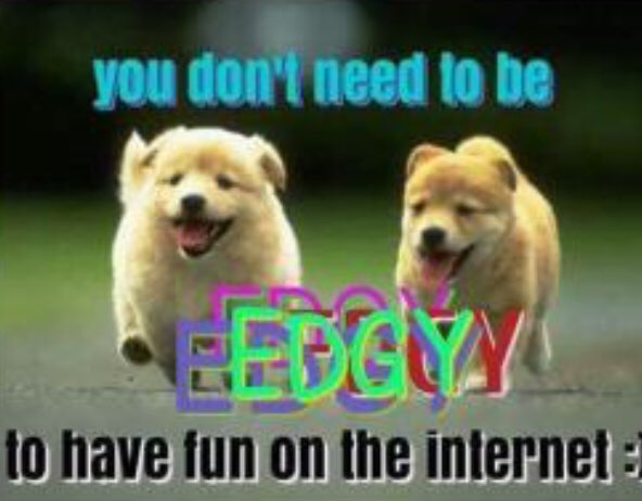 a picture of two running puppies captioned "you don't need to be EDGY to have fun on the internet :)“