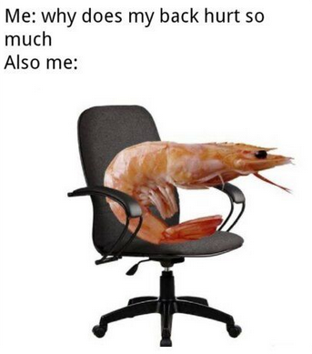 Shrimp sitting on a chair saying "why does my back hurt so much"