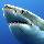 privacyshark